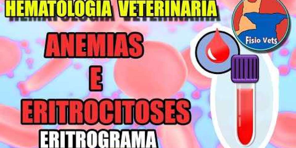 Baremos de Precios en Clínica Veterinaria 2024