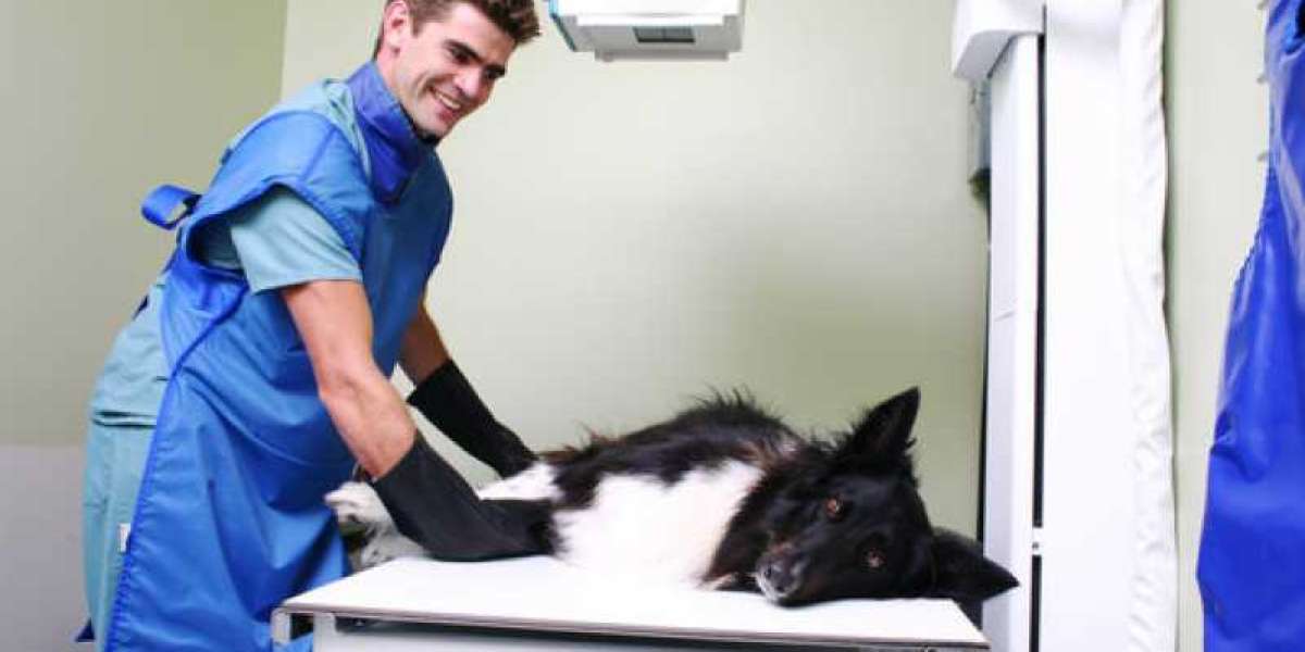 Veterinary Diagnostic Laboratory, University of Kentucky University of Kentucky Research