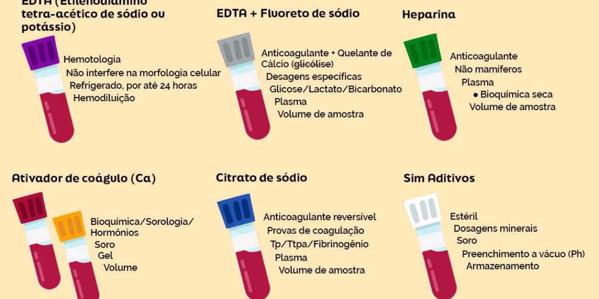 Early Diagnosis of Chronic Kidney Disease in Dogs & Cats