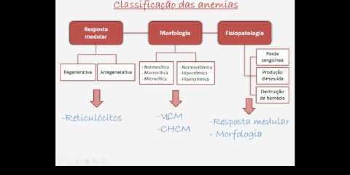 Symmetric Dimethylarginine SMDA Blood Testing in Cats