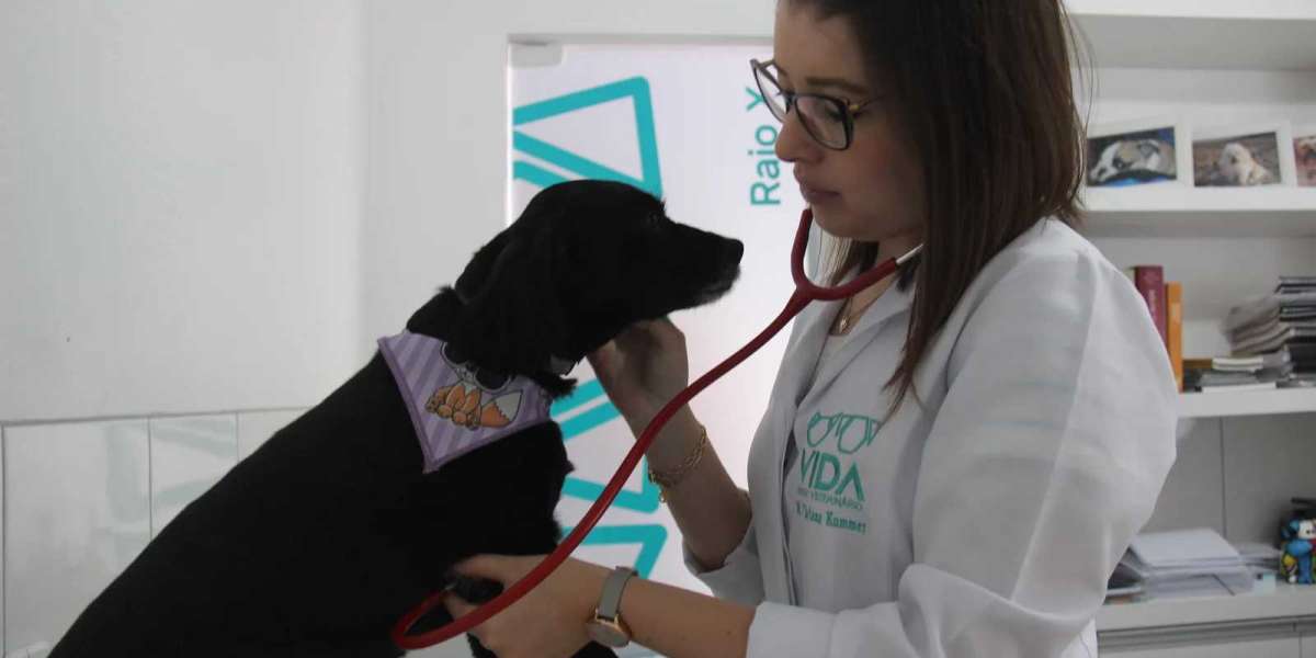 Electrocardiograma en perro: hallazgos más importantes