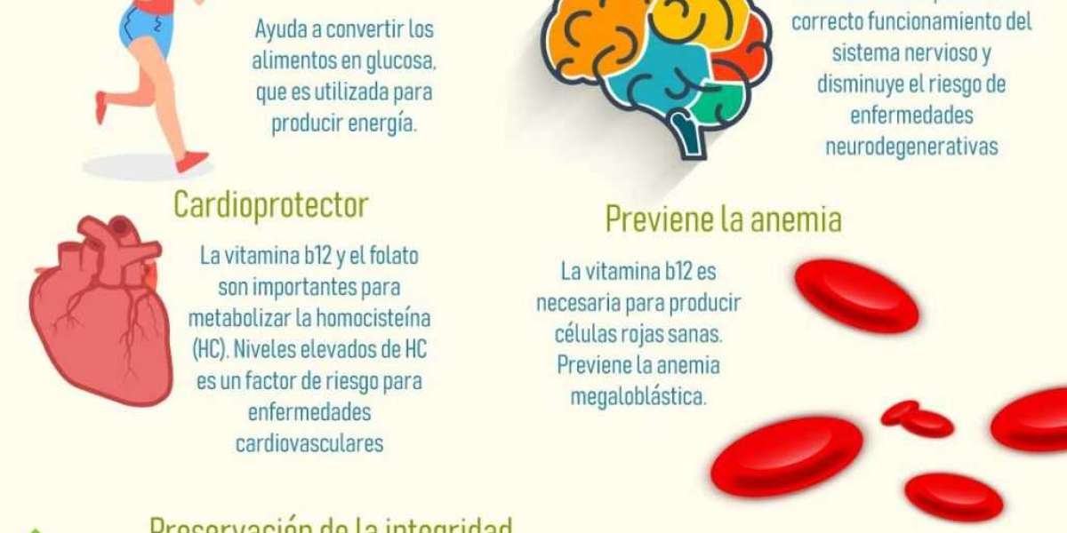 Hidroxil B1-B6-B12: Todo lo que necesitas saber sobre su impacto en el peso corporal