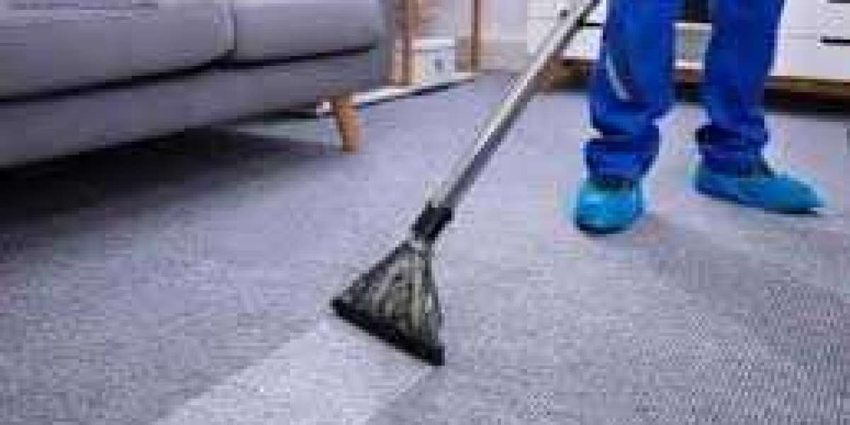 Maximize Your Home’s Cleanliness with Professional Carpet Cleaning